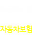 자동차보험